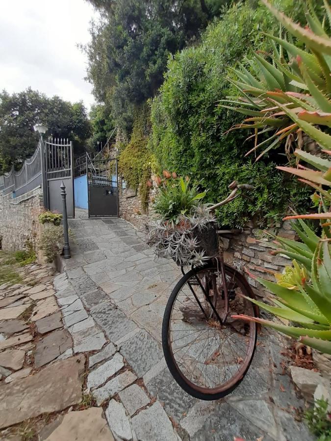 Villa Ca Dell'Acciuga Cervo Exterior foto