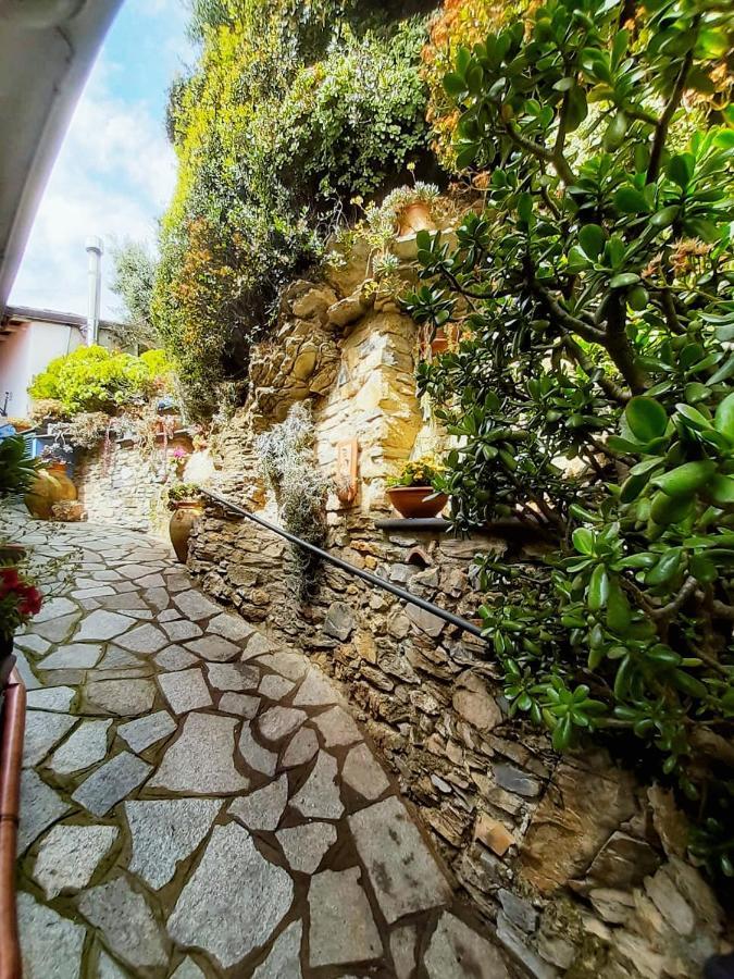 Villa Ca Dell'Acciuga Cervo Exterior foto